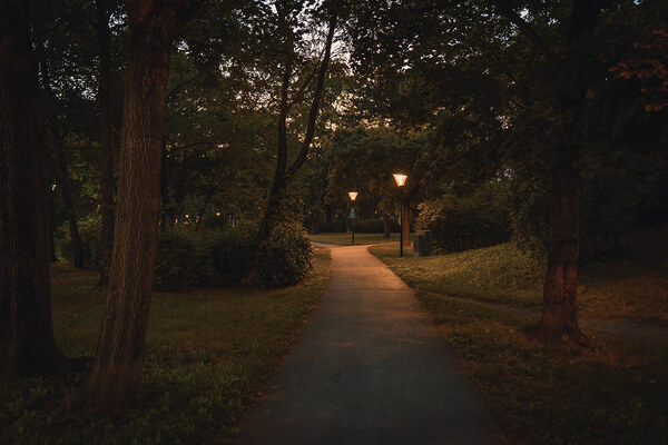 Caminho tranquilo num parque com árvores e luz suave ao fim do dia